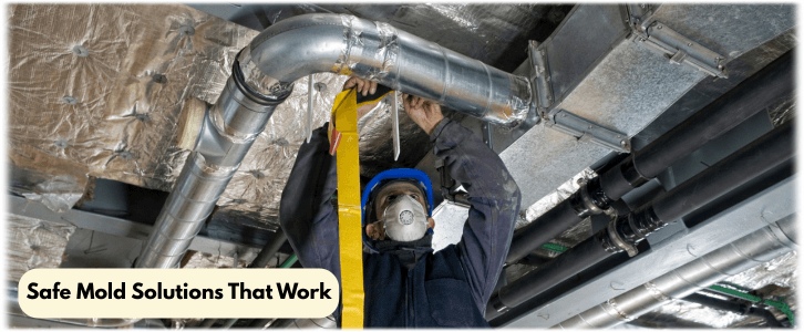 Air Duct Mold Removal in Norwalk CA