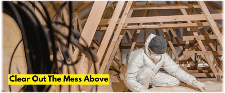 Attic Cleaning Norwalk CA