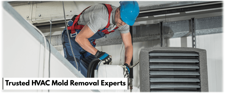 HVAC Mold Removal Norwalk CA